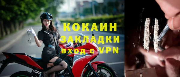 соль курить ск Каменка