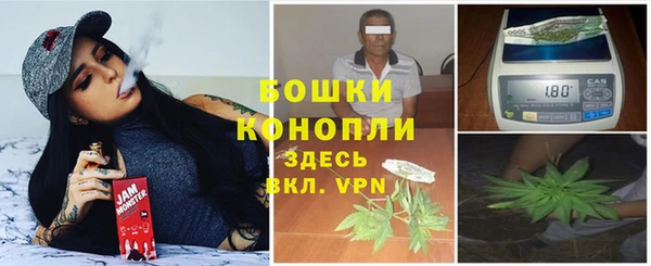 ALPHA PVP Каменногорск